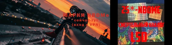 стафф Надым