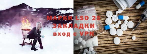 стафф Надым