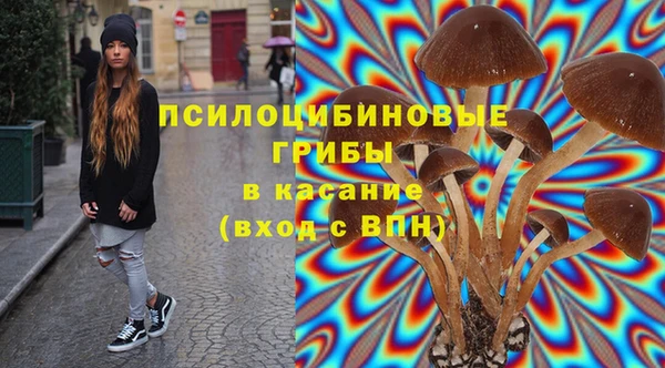 ГАЛЛЮЦИНОГЕННЫЕ ГРИБЫ Нефтекумск