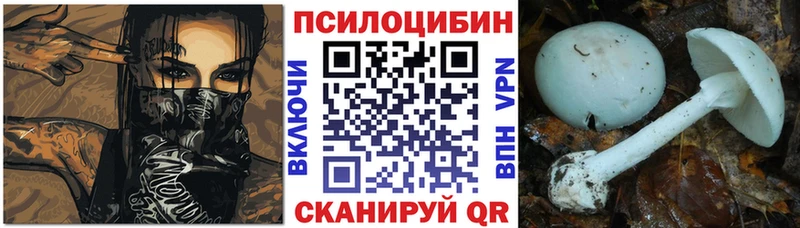 Галлюциногенные грибы Psilocybine cubensis  Новоалтайск 