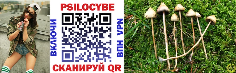 Псилоцибиновые грибы Magic Shrooms Новоалтайск
