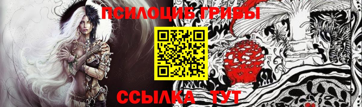Галлюциногенные грибы прущие грибы  Вход с VPN  Новоалтайск 