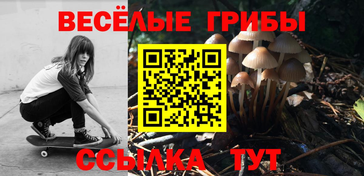 Псилоцибиновые грибы Magic Shrooms Новоалтайск
