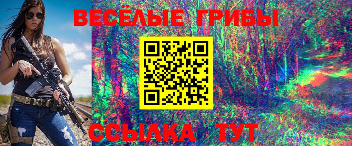 где продают   Новоалтайск  Псилоцибиновые грибы Magic Shrooms 