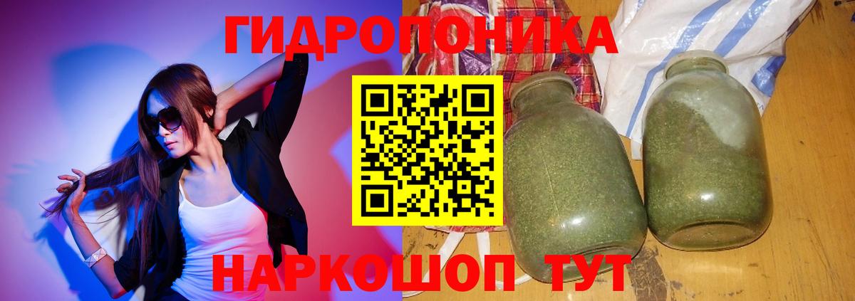 Бошки Шишки MAZAR Новоалтайск